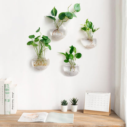 6 Pack Wall Mount Oblate Glass Terrarium Vases, Hanging Hydroponic Plant Containers for Home Indoor Decor