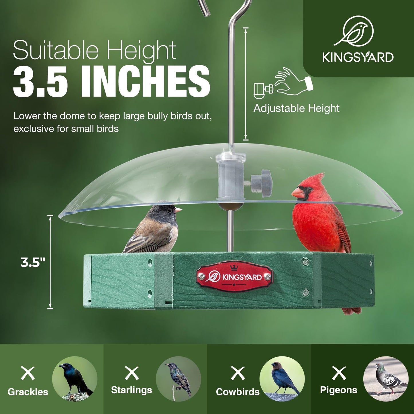 Squirrel Proof Hanging Bird Feeder with Adjustable Rain Dome, Large Mesh Tray Wild Bird Seed Feeding Station