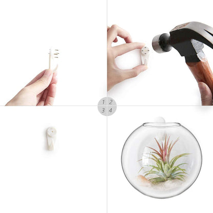 6 Pack Wall Mount Oblate Glass Terrarium Vases, Hanging Hydroponic Plant Containers for Home Indoor Decor