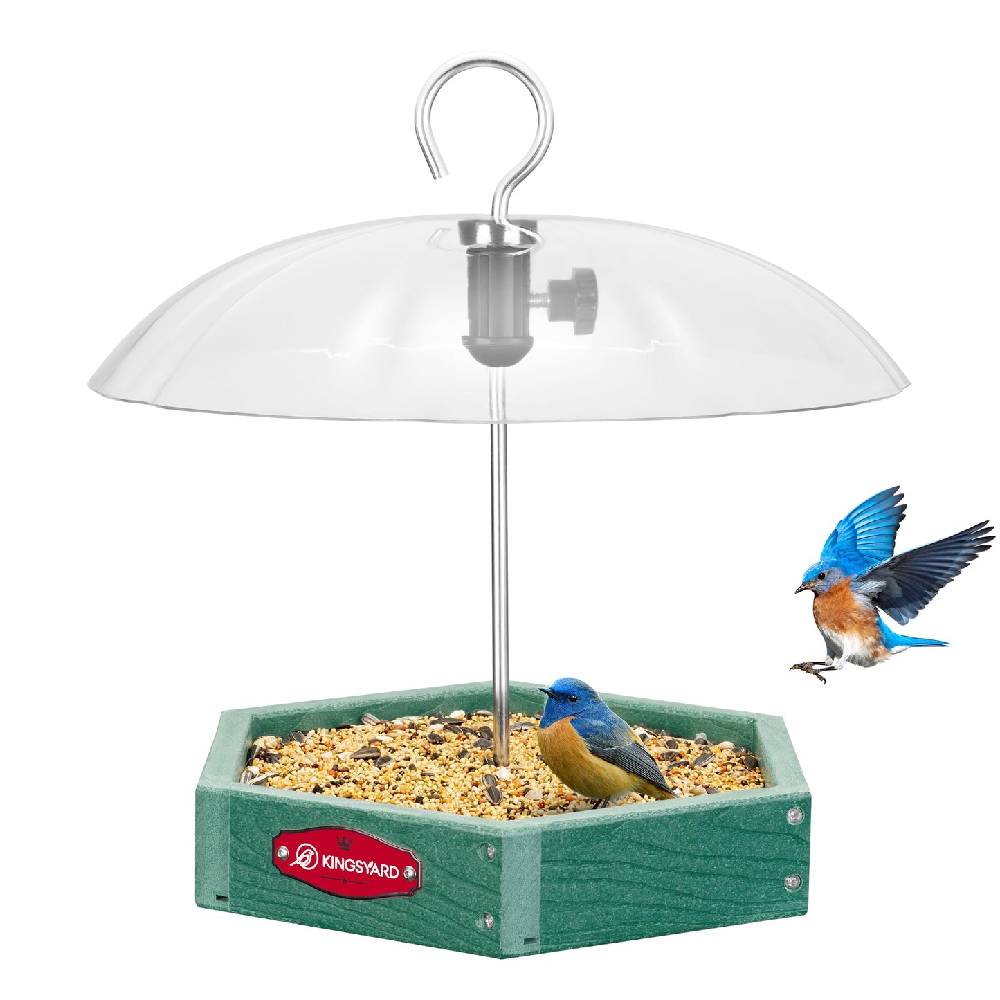 Squirrel Proof Hanging Bird Feeder with Adjustable Rain Dome, Large Mesh Tray Wild Bird Seed Feeding Station