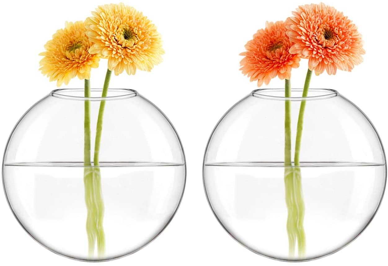 6 Pack Wall Mount Oblate Glass Terrarium Vases, Hanging Hydroponic Plant Containers for Home Indoor Decor