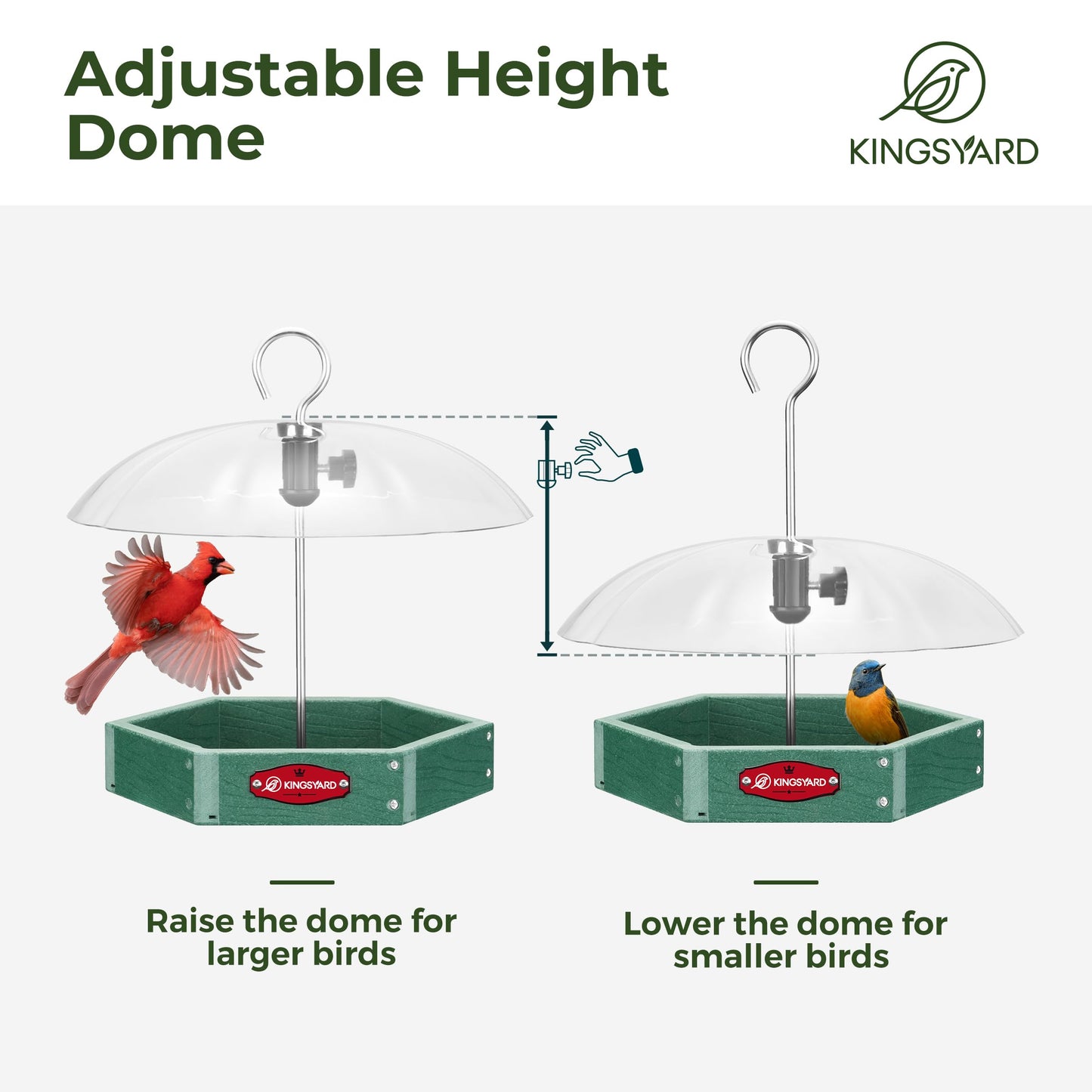 Squirrel Proof Hanging Bird Feeder with Adjustable Rain Dome, Large Mesh Tray Wild Bird Seed Feeding Station